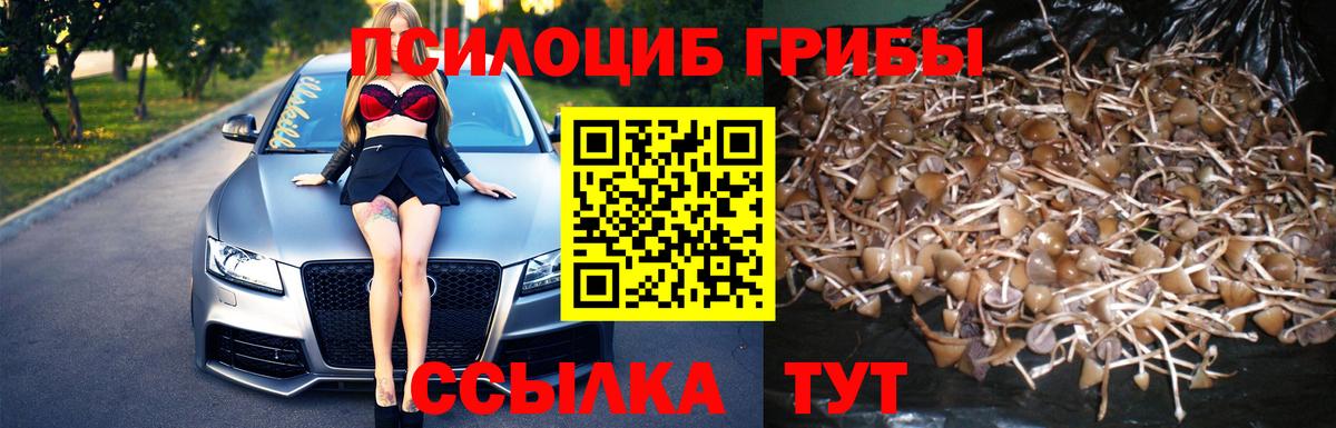 Воронеж  Галлюциногенные грибы Cubensis  Вход с VPN  Галлюциногенные грибы ЛСД 